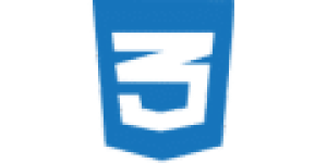 CSS.png